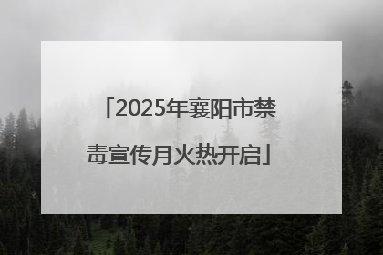 2025年襄阳市禁毒宣传月火热开启